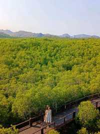 ไปเดินชมธรรมชาติสวยๆที่ วนอุทยานปราณบุรี