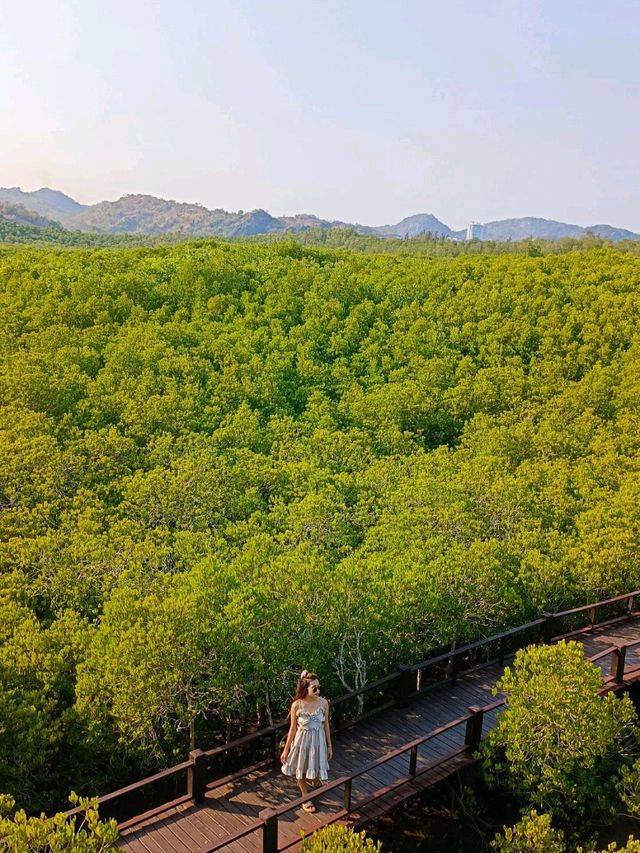 ไปเดินชมธรรมชาติสวยๆที่ วนอุทยานปราณบุรี