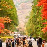 【栃木/日光】紅葉も美しい日光東照宮