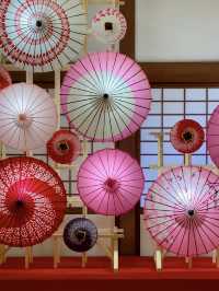 京都観光🥰🩷随心院🩷魅惑の和傘の光の祭典⛱️✨