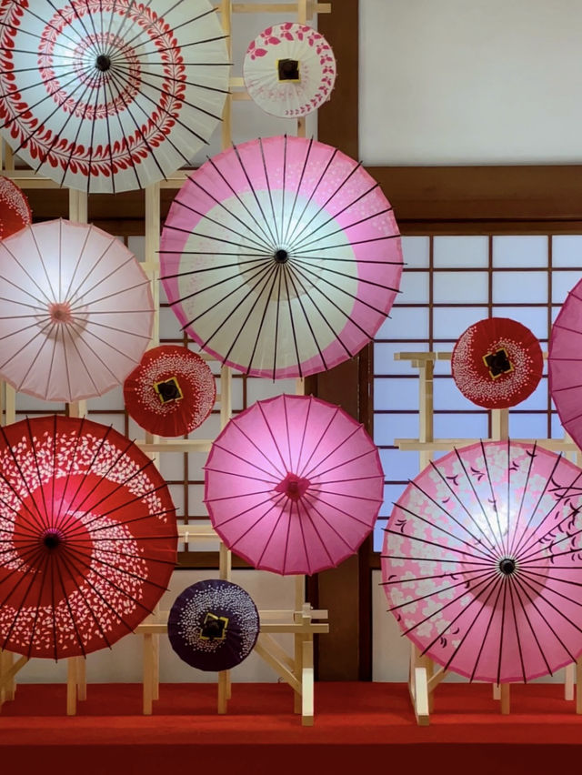 京都観光🥰🩷随心院🩷魅惑の和傘の光の祭典⛱️✨