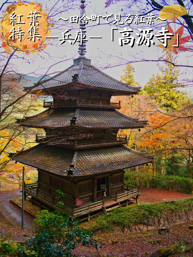 【ここ行って】本当は教えたくない🙅丹波地方最古の寺院で見る紅葉✨ 【ここ行って】本当は教えたくない🙅丹波地方最古の寺院で見る紅葉✨