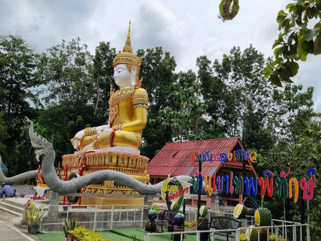 สะพานแขวน แลนด์มาร์คน่าไปในจ.สุราษฎร์ธานี✨