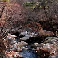 韓國大邱_Haeinsa Temple 해인사 世界文化遺產