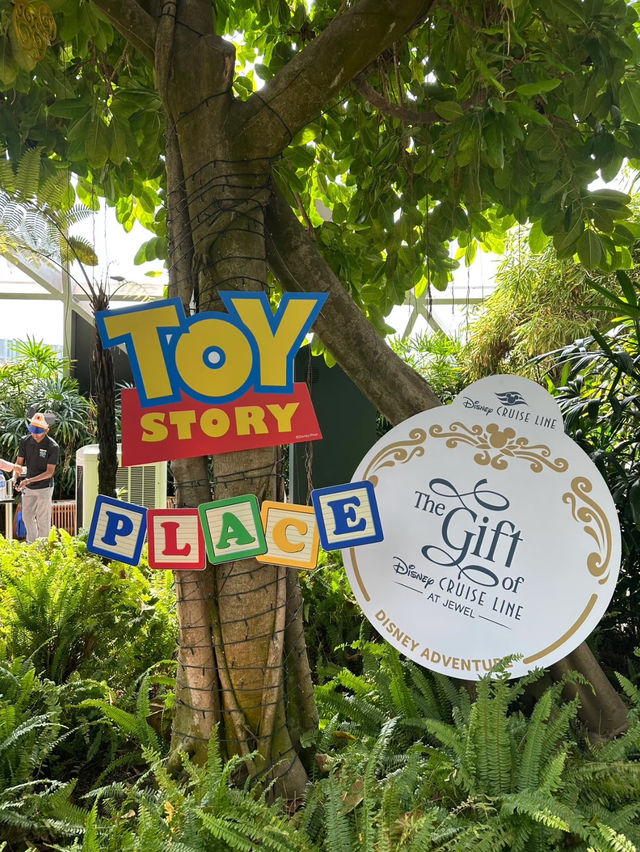 Visit to this awesome canopy park jewel changi 🇸🇬