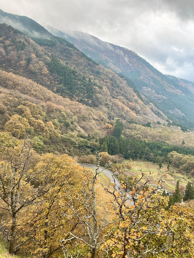 【湯布院】絶景！展望台から湯布院が一望✨