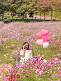 너무 행복했던 나의 분홍 빛 가을💖🌸🦄🎀