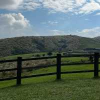 Discover the scenic YangMingShan national park