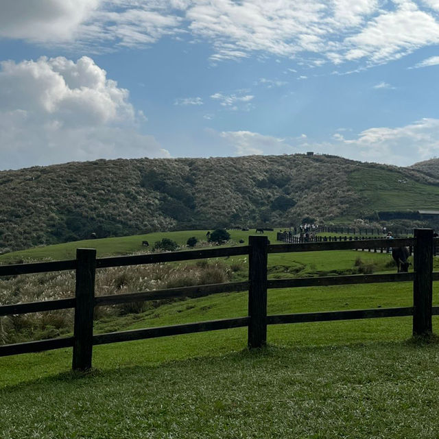 Discover the scenic YangMingShan national park
