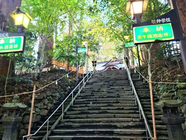 高千穗神社 在百年大樹下祈福的能量景點