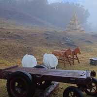 A Peaceful Retreat at Qingjing Farm: My Taiwan Adventure 