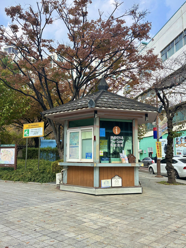 고즈넉한 분위기에서 가을을 느끼기 좋은 경상감영공원🤍
