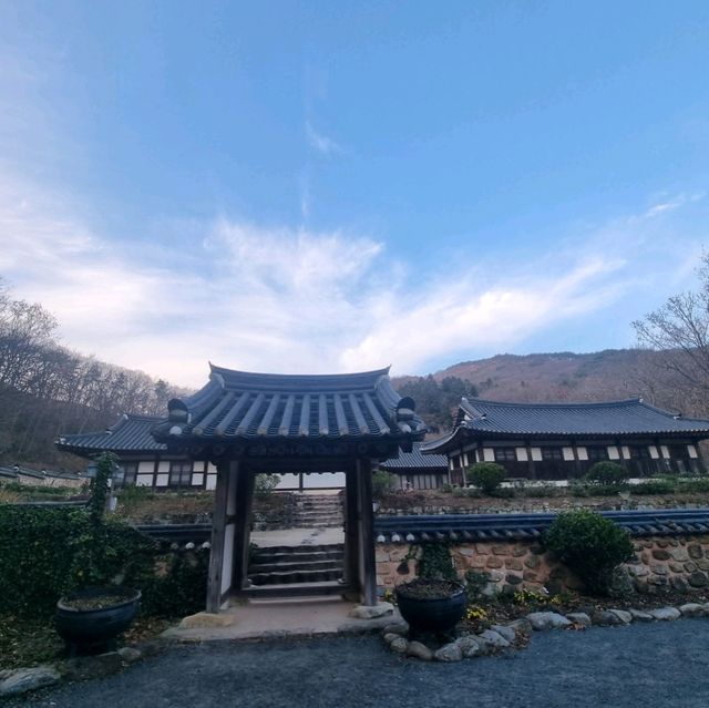 산사도 둘러보고 향긋한 야생차도 마셔보세요.