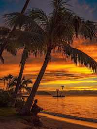 Why Palm Tree Lovers Need to Visit Hawaii🌴