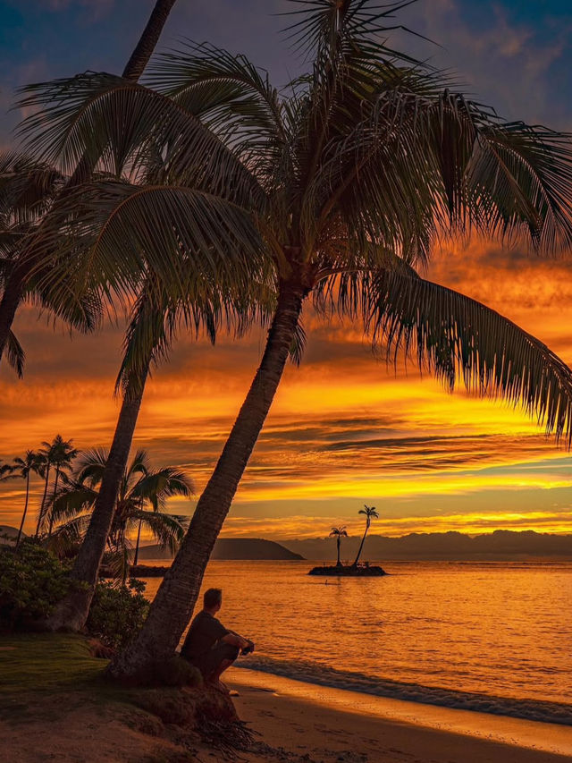 Why Palm Tree Lovers Need to Visit Hawaii🌴