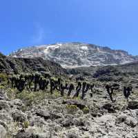 My Kilimanjaro experience 