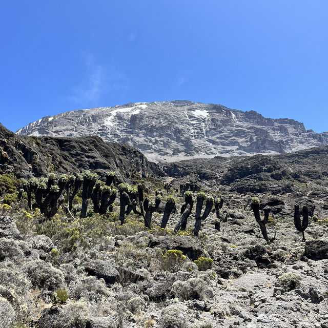 My Kilimanjaro experience 