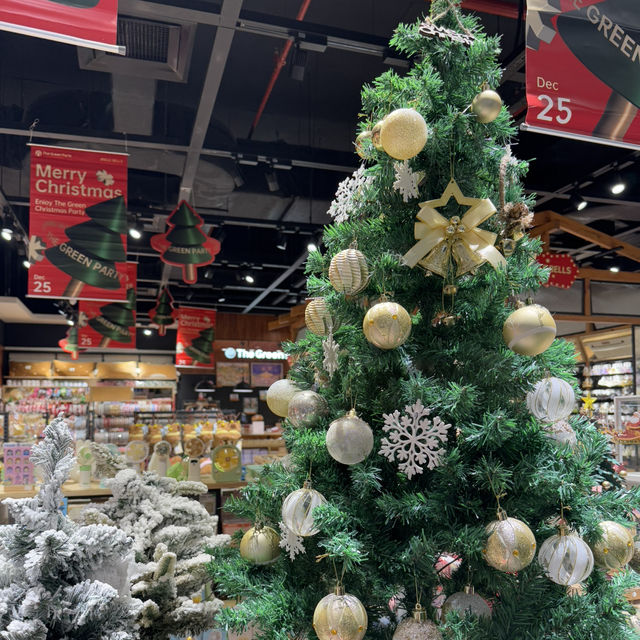 Holiday Magic Unwrapped at The Green Party