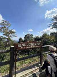 【東京近郊】高美山一日遊🌳玩盡纜車吊車🚡輕鬆登頂