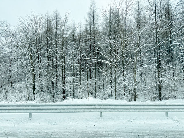 การเดินทางมา Snow Town จากตัวเมือง ฮาร์บิน