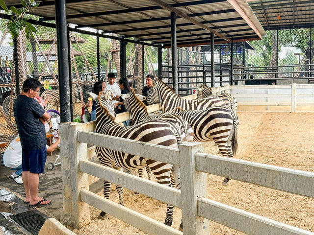 สวนสัตว์ ศรีอยุธยา ไลอ้อนปาร์ค
