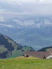 🇨🇭搭齒軌列車到山頂🏞️🏔️