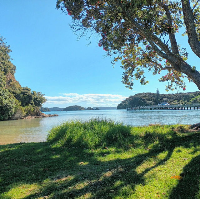 Welcoming 2025 in Paradise: Bay of Islands Magic