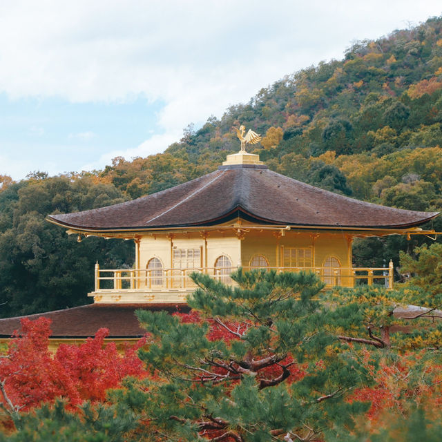 Kinkakuji Temple