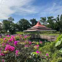 MacRitchie Reservoir Park