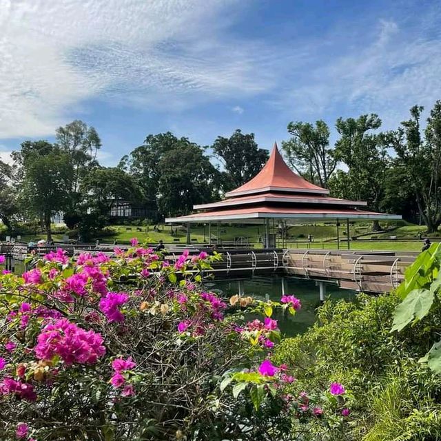 MacRitchie Reservoir Park