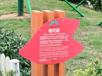 東涌櫻花園：春天的浪漫之旅🌸✨