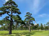 Imperial Palace皇居
