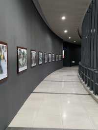 Museum Aceh: Remembering and Reflecting