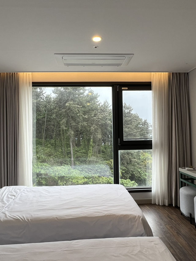 숲뷰 바다뷰 보이는 호텔 서귀피안🌿