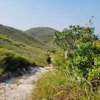 Discovering the Wild Beauty of Wilson Trail Section 9