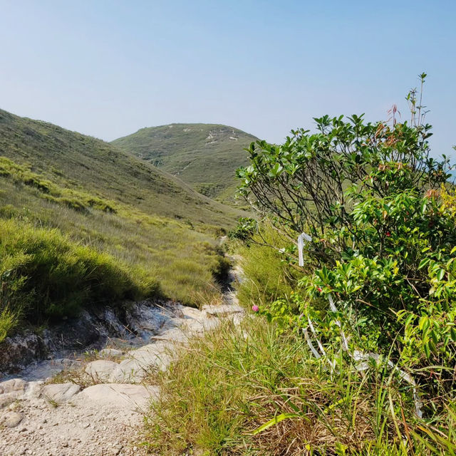 Discovering the Wild Beauty of Wilson Trail Section 9