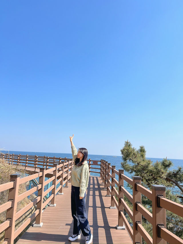 속초 가볼만한 곳! 사진 찍기 좋은 곳