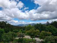 Kaoota Tasmania