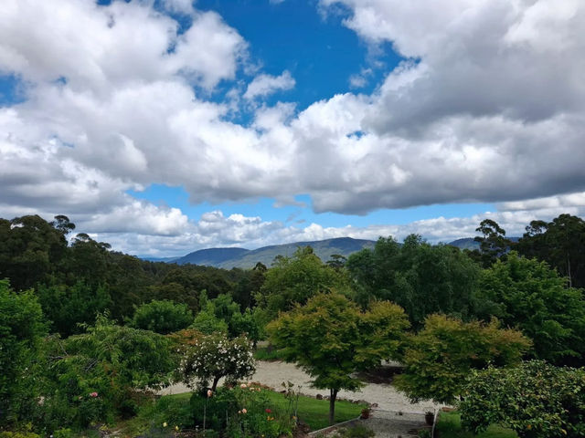 Kaoota Tasmania