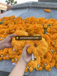 มูรับปีใหม่ & เที่ยวฉะเชิงเทราครั้งแรก