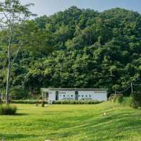 Ile Cafe & Camping Khaoyai🏕️🌿🛖