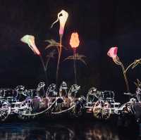 teamLab Borderless:
