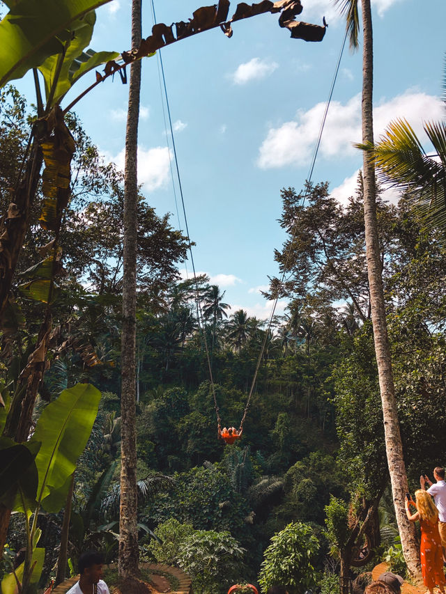 峇里必體驗🌟夢幻又刺激既Bali Swing！望住德哥拉朗梯田盪鞦韆💕 Uma Pakel Agro Tourism & swing