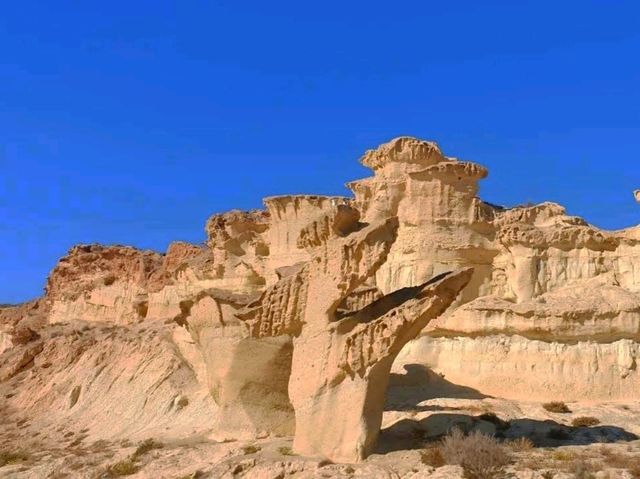 提供豐富的藝術遺產和地中海沿岸一系列有趣的休閒選擇