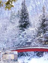 【栃木×湯西川】  古民家と本家判久が見られる赤い橋 雪景色が素晴らしい