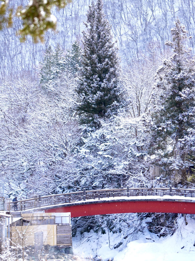 【栃木×湯西川】  古民家と本家判久が見られる赤い橋 雪景色が素晴らしい