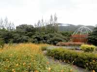 พาเที่ยวสวนผึ้งไฮแลนด์ มินิซูและจุดพักผ่อนสวนผึ้ง