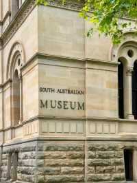 South Australian Museum in Adelaide