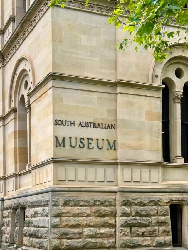 South Australian Museum in Adelaide