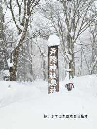 【長野／長野市】雪が降る戸隠神社の杉並木と中社⁡